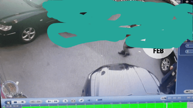 155080690115948.gif
