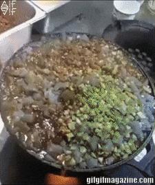 155125740846518.gif