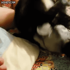 155126062363172.gif