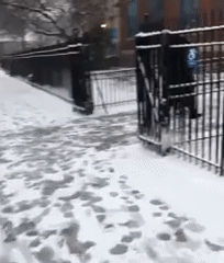 155126066243601.gif