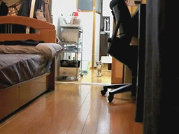 155126407385980.gif