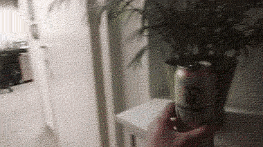 155126409232782.gif