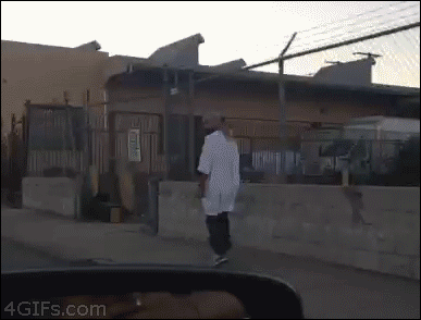 155143947677417.gif