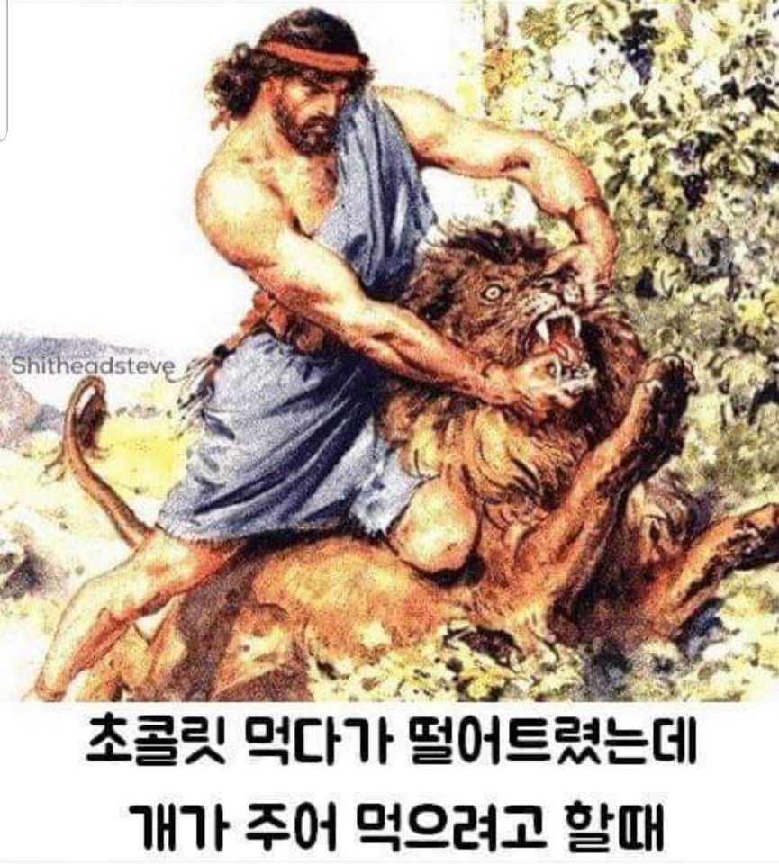 155145534889593.jpg