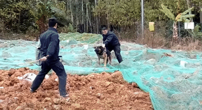 155145571260948.gif