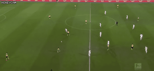 155148887387646.gif