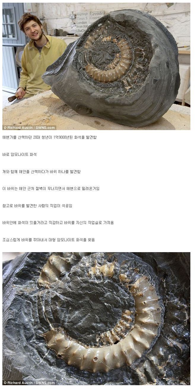 155182306311480.jpg