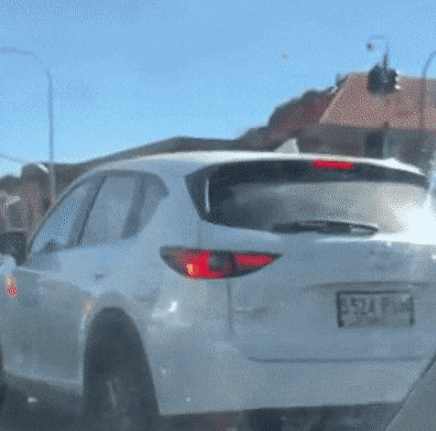 155183022343477.gif