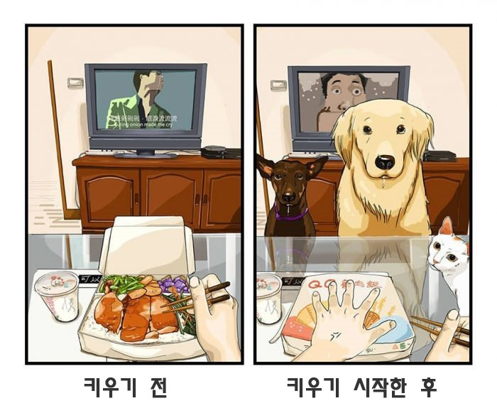 155183491126009.png