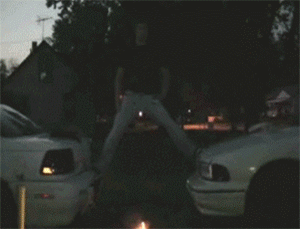 155183508413277.gif