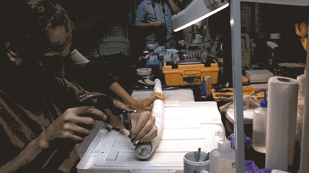 155251462316967.gif