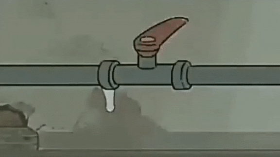 155260851549325.gif