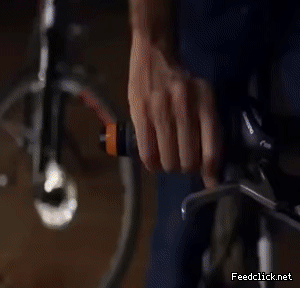 155289964956690.gif