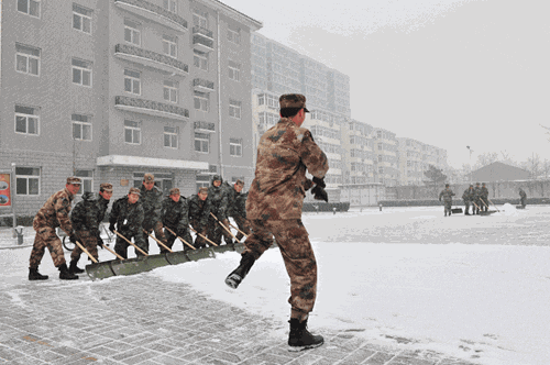 155290627627448.gif