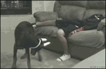 155291765653942.gif