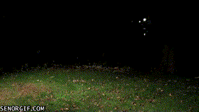 155291766069941.gif