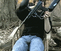 155291769625280.gif
