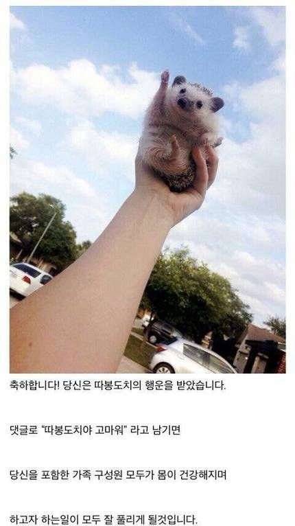 155348195178905.JPEG