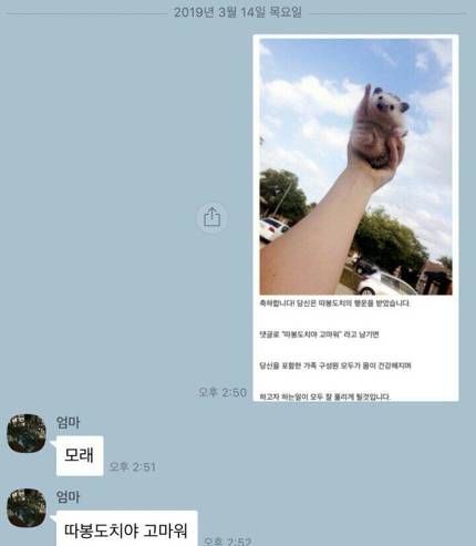 155348195293227.JPEG