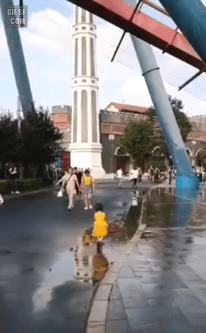 155348312052187.GIF