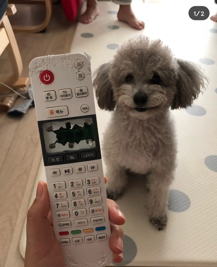 155349697530165.jpg