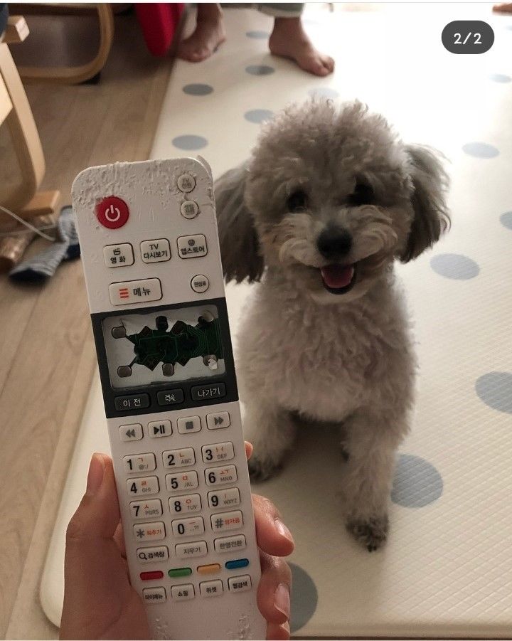 155349697538700.jpg