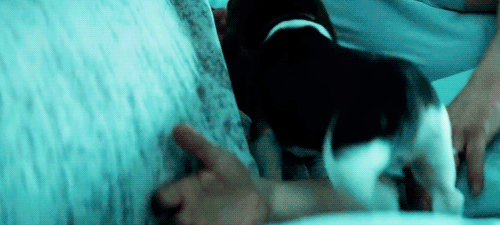 155351360023452.gif