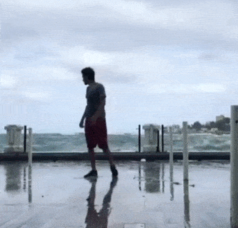 155356731048097.gif