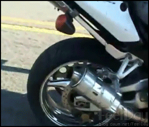 155377517090451.gif