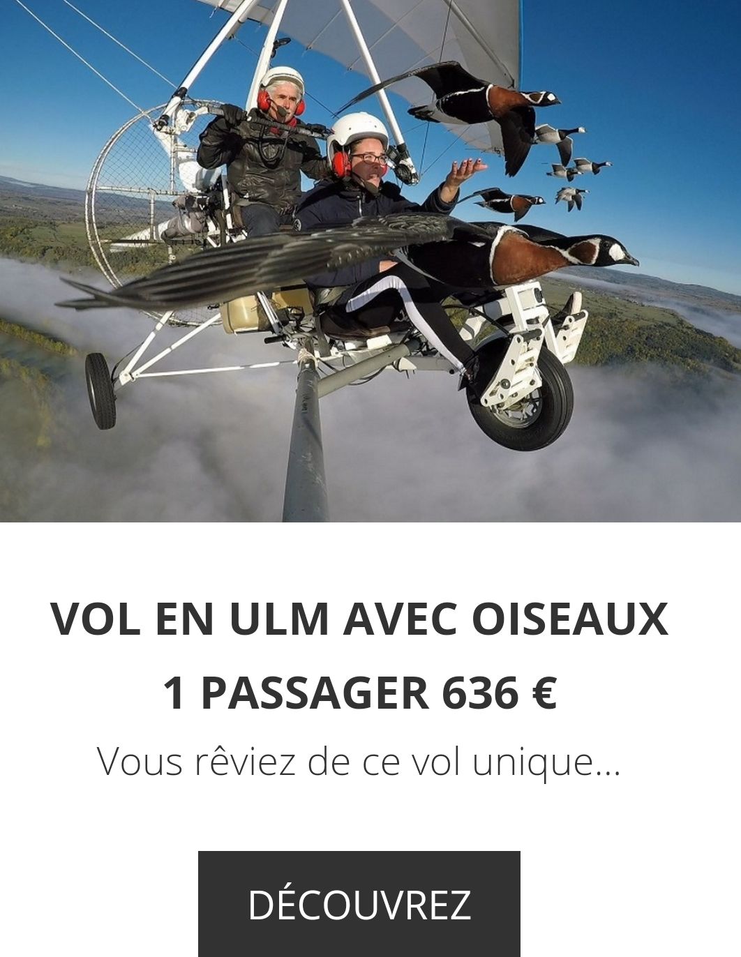 155378831126203.jpg