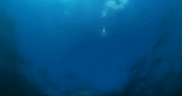 155379028631041.gif