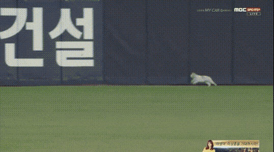 155380985945917.gif