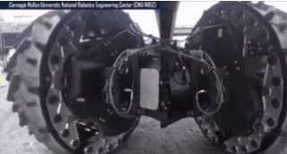 155381869420424.gif