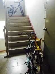 155385340626146.jpg