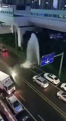 155391212290562.gif