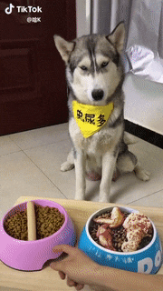155420863799930.gif