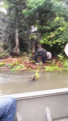 155534497180721.gif