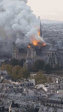 155535282030175.gif