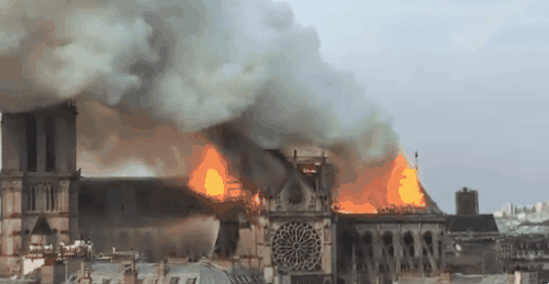 155535288450998.gif