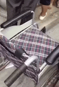 155538235534019.gif