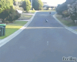 155538571020813.gif