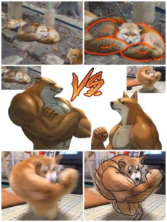155573340545963.jpeg