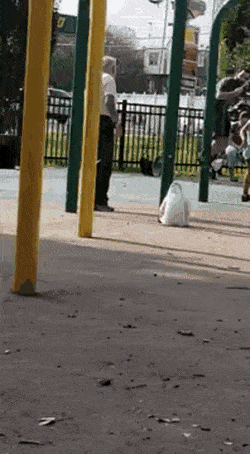 155687608193107.gif
