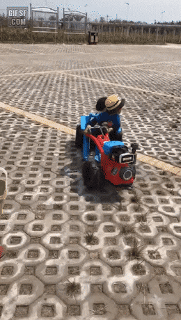 155779981843307.gif
