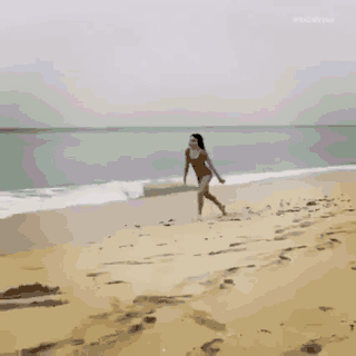 155839365316649.gif
