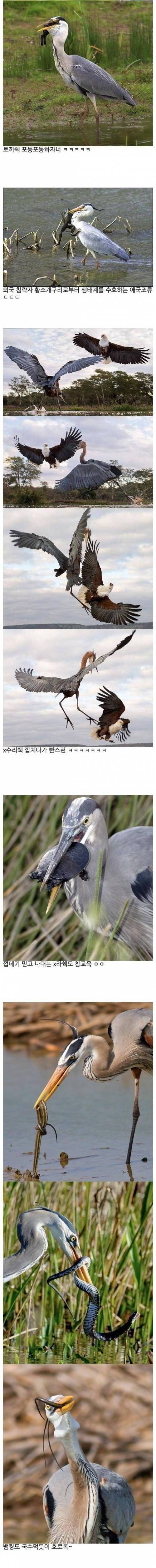 155839470464785.jpg