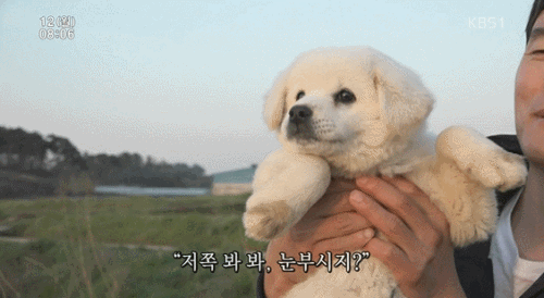 155840098475041.gif