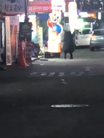 155844123595138.gif