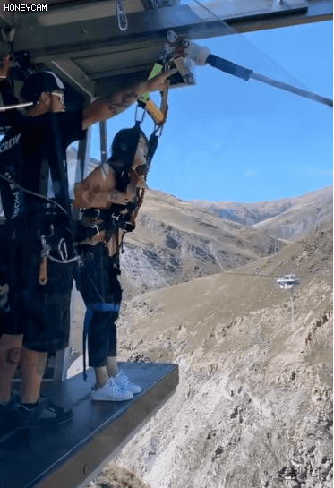 155902324416831.gif