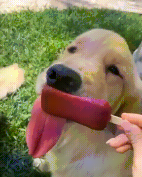 155947648142287.gif